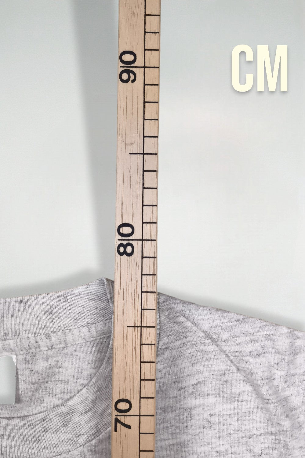 Maglietta vintage con grafica Totem Rain di Murina Washington, grigio mélange | Punto singolo anni '90