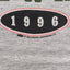 Maglietta vintage Hanes del tour di Rod Stewart del 1996, grigia | Merchandise della band degli anni '90