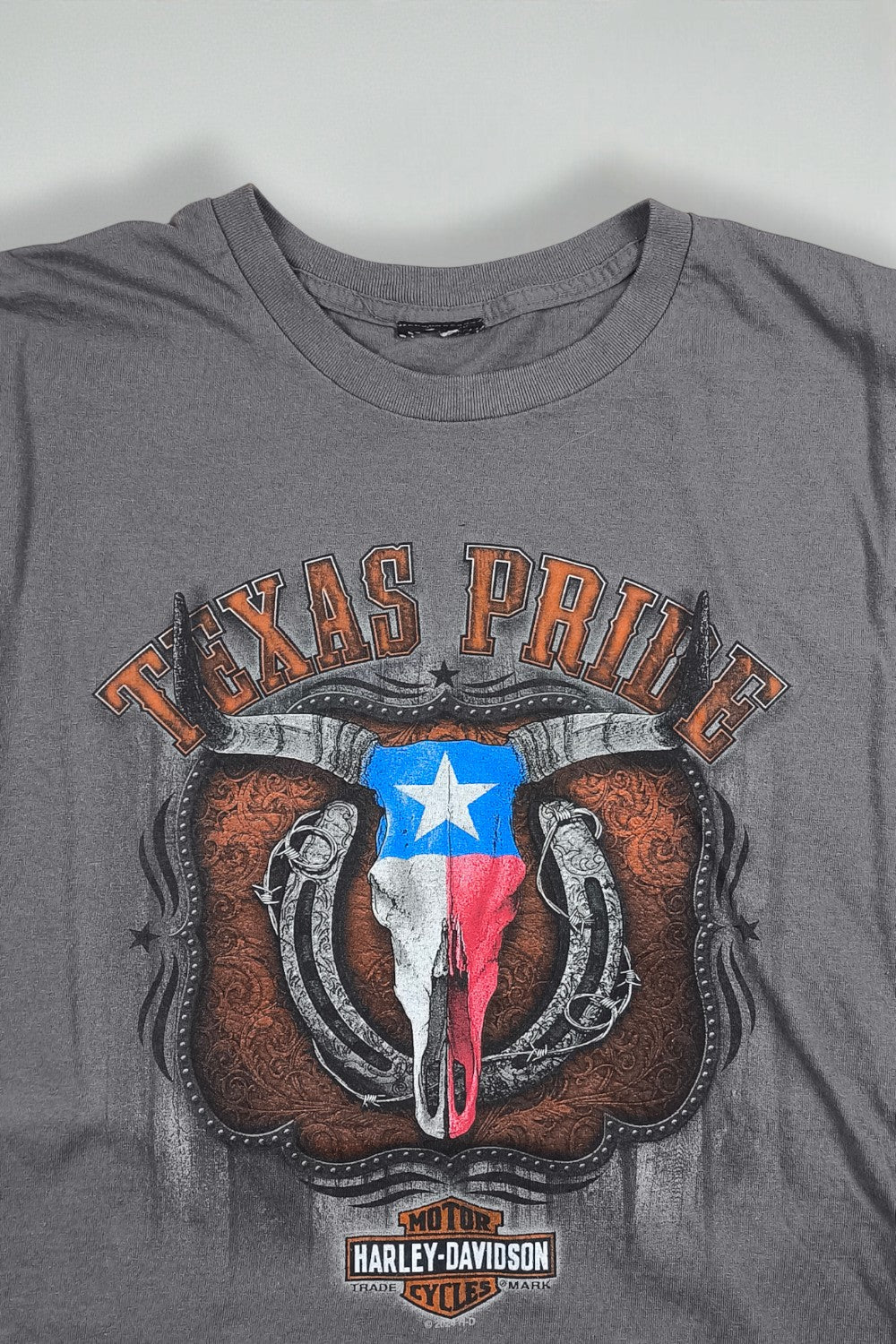Maglietta grafica vintage Harley-Davidson Texas Pride grigia | Maglietta da motociclista anni 2000