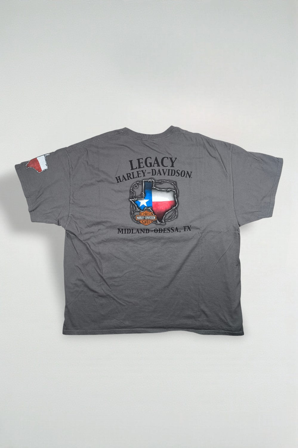 Maglietta grafica vintage Harley-Davidson Texas Pride grigia | Maglietta da motociclista anni 2000