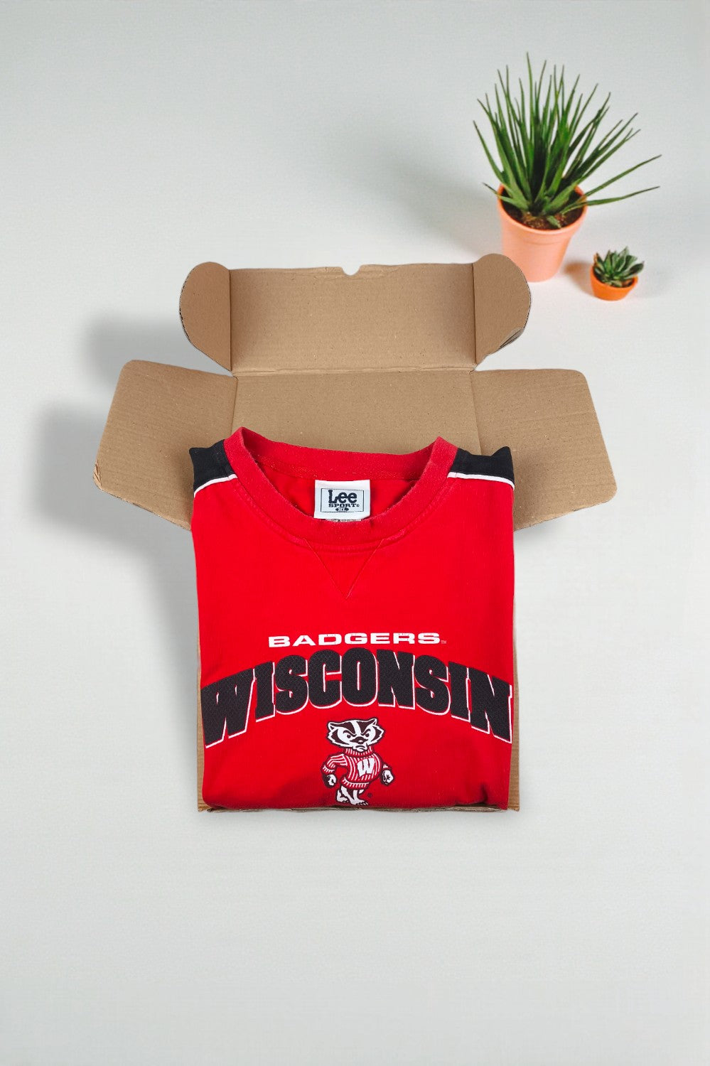 Maglia a maniche lunghe vintage Lee Sport Wisconsin Badgers rossa | Abbigliamento NCAA anni 2000
