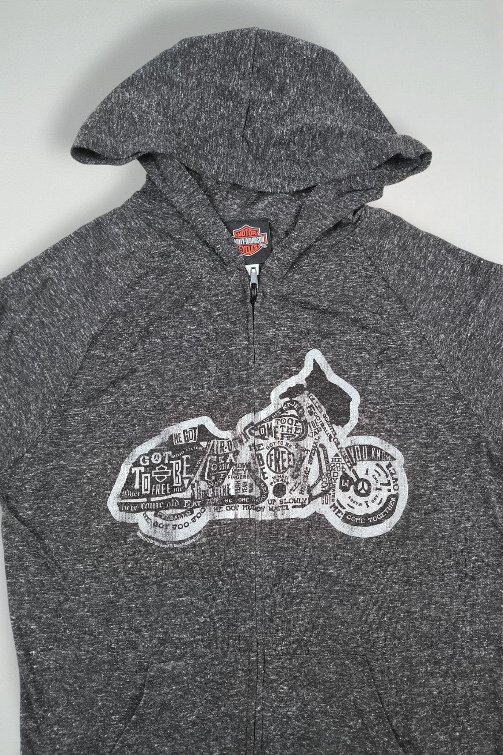 Felpa con cappuccio e zip grafica Harley-Davidson vintage grigio scuro | Felpa da motociclista Y2K