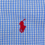 Polo Ralph Lauren Custom Fit Button Down Shirt Blue Check | Classic Casual Menswear
