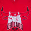 Chicago Bulls NBA Graphic T-Shirt Red | Modern Streetwear