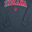 Vintage Indiana University Long Sleeve T-Shirt Grey 2XL USA College