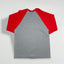 Vintage Lee Sport Red Sox MLB Raglan T-Shirt Grey Red | 2000s