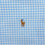 Polo Ralph Lauren Checked Shirt Blue White | Casual Button Down