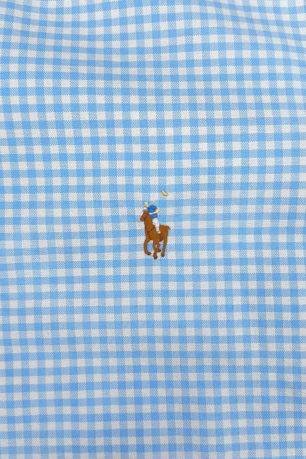 Polo Ralph Lauren Checked Shirt Blue White | Casual Button Down