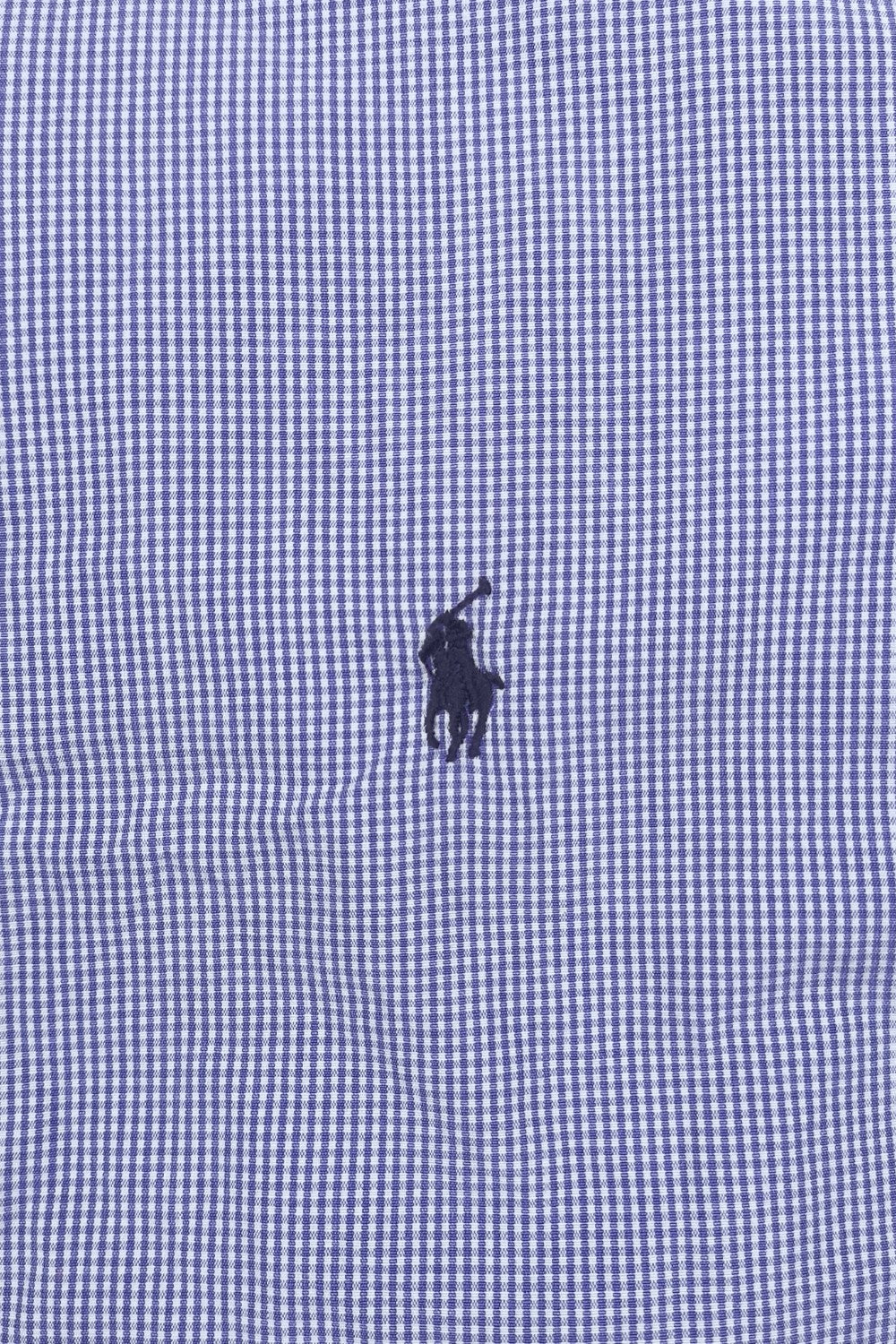 Polo Ralph Lauren Blake Shirt Blue Check Cotton Button Down