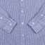 Polo Ralph Lauren Blake Shirt Blue Check Cotton Button Down
