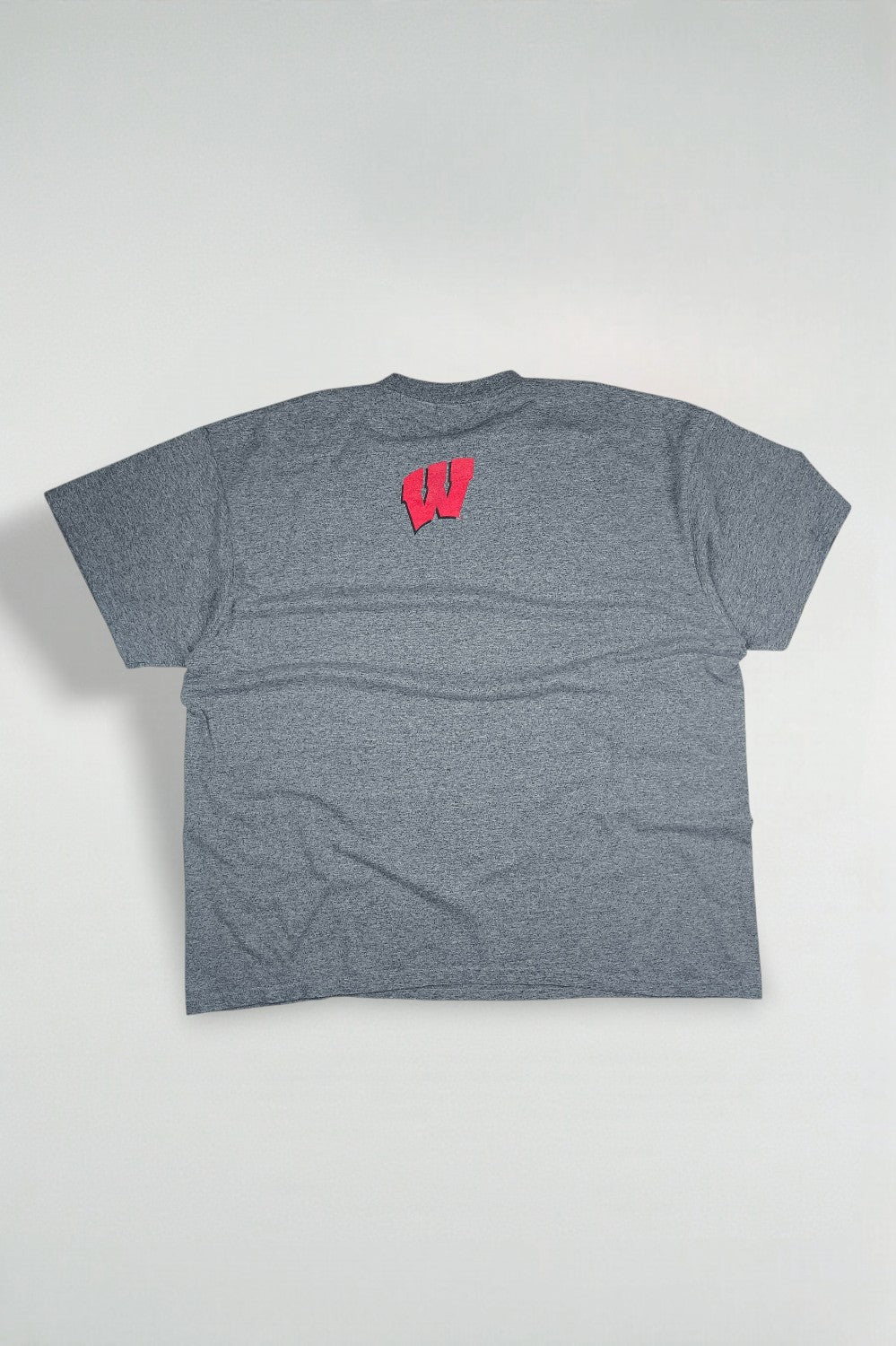 Vintage Nike Wisconsin Badgers T-Shirt Grey XXL | Y2K College Sports