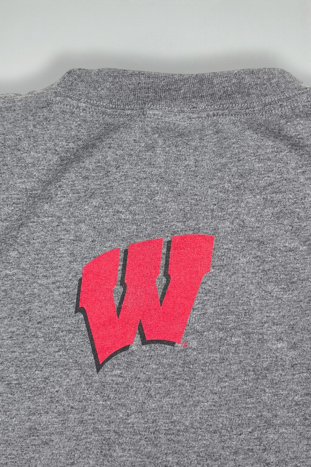 Vintage Nike Wisconsin Badgers T-Shirt Grey XXL | Y2K College Sports