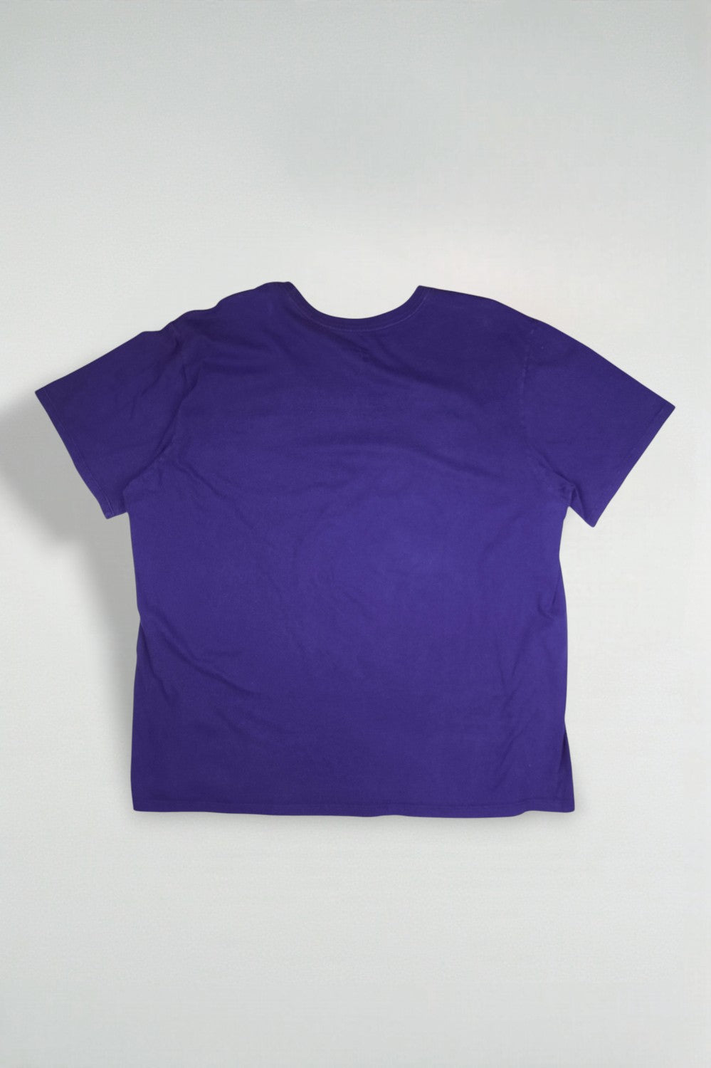 Nike Tigers VS All Graphic T-Shirt Purple | Athletic Sportswear