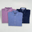 Second-hand Tommy Hilfiger x3 Shirt Bundle Blue Pink Navy | L